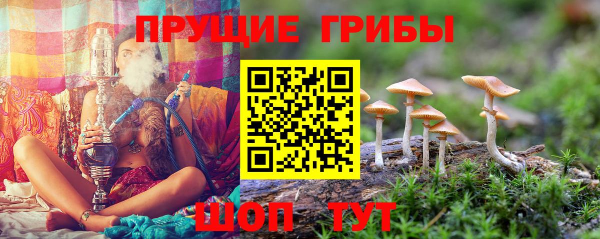 Псилоцибиновые грибы MAGIC MUSHROOMS Артём